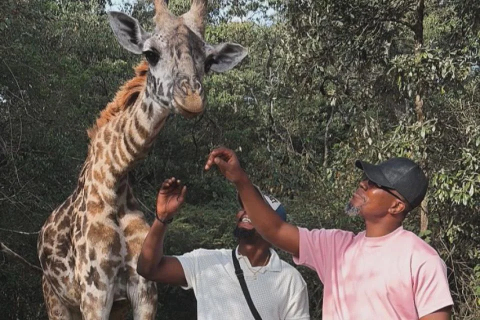 Curated Kenya Experiences