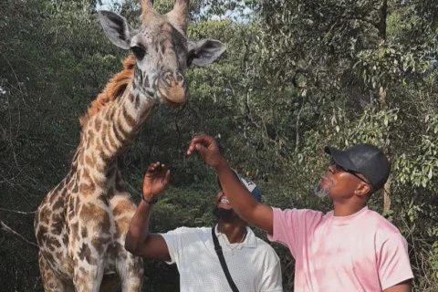 Curated Kenya Experiences